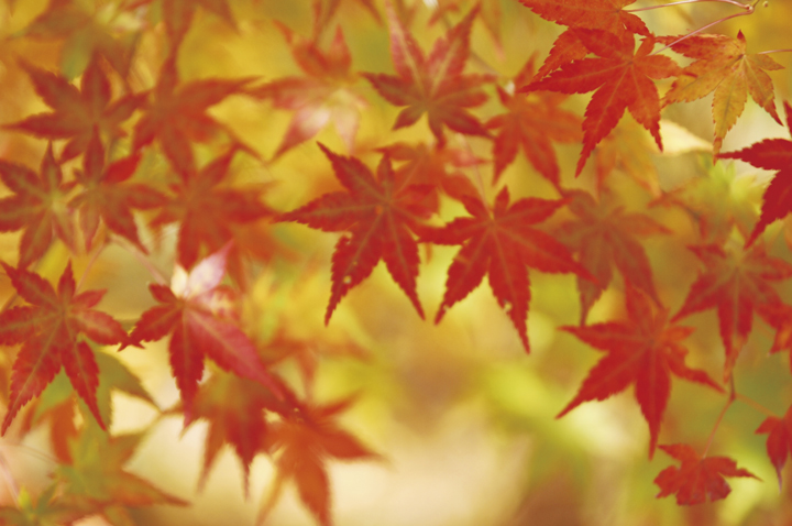 イメージ写真3